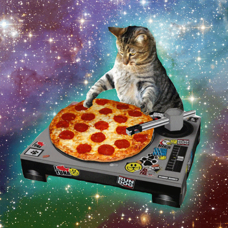 cat pizza small
