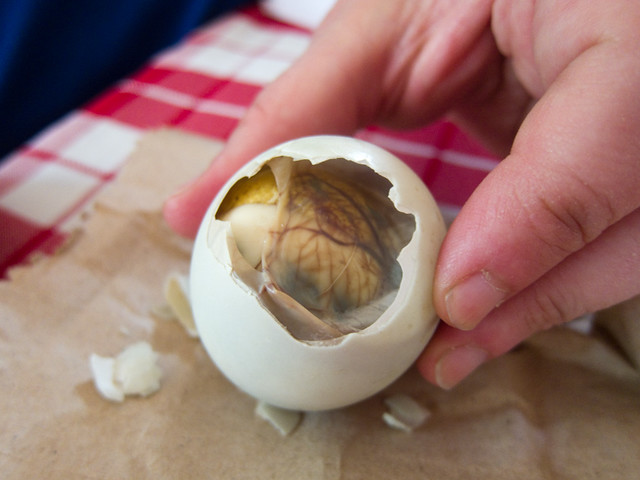 And peel away some of the shell