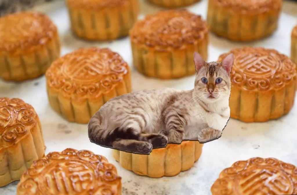 mooncake9